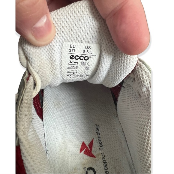 Ecco rxp 3040 receptor - Picture 8 of 8